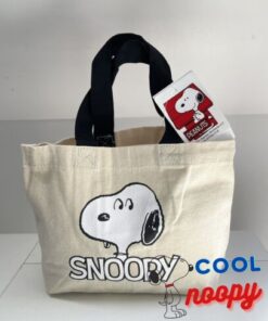 Snoopy Small Canvas Reusable Shopping Tote Bag Lunch Bag 27x18x7cm New Japan