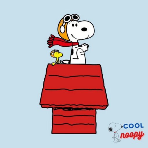 Snoopy Pilot Airplane T Shirt 4